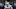 Dallas Cowboys Dallas Cowboys