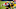Chicago Bears, Anthony Sherman