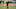 SEATTLE, WASHINGTON – OCTOBER 23: Jefferson Savarino #7 of Real Salt Lake moves the ball down the pitch during the match against the Seattle Sounders at CenturyLink Field on October 23, 2019 in Seattle, Washington. The Seattle Sounders top the Real Salt Lake 2-0 to win the Western Conference Semifinal. (Photo by Alika Jenner/Getty Images) SEATTLE, WASHINGTON – OCTOBER 23: Jefferson Savarino #7 of Real Salt Lake moves the ball down the pitch during the match against the Seattle Sounders at CenturyLink Field on October 23, 2019 in Seattle, Washington. The Seattle Sounders top the Real Salt Lake 2-0 to win the Western Conference Semifinal. (Photo by Alika Jenner/Getty Images)