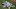 LOS ANGELES, CA – OCTOBER 25: Rich Hill (Photo by Sean M. Haffey/Getty Images) LOS ANGELES, CA – OCTOBER 25: Rich Hill (Photo by Sean M. Haffey/Getty Images)