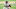 2021 NFL Season, 2021 NFL Draft