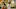 Jordan Bowden Jordan Bowden