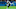 Dwayne Allen New England Patriots
