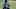 Jacksonville Jaguars Jacksonville Jaguars