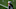 Chicago Bears, Stephon Gilmore Chicago Bears, Stephon Gilmore