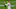 Philadelphia Eagles Philadelphia Eagles