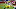 Robert Tonyan, Green Bay Packers Robert Tonyan, Green Bay Packers