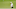 GREENSBORO, NORTH CAROLINA – AUGUST 16: Si Woo Kim of South Korea plays a shot on the fifth hole during the final round of the Wyndham Championship at Sedgefield Country Club on August 16, 2020 in Greensboro, North Carolina. (Photo by Chris Keane/Getty Images) GREENSBORO, NORTH CAROLINA – AUGUST 16: Si Woo Kim of South Korea plays a shot on the fifth hole during the final round of the Wyndham Championship at Sedgefield Country Club on August 16, 2020 in Greensboro, North Carolina. (Photo by Chris Keane/Getty Images)