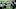 New England Patriots New England Patriots