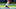 Cleveland Browns Cleveland Browns