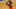 New Orleans Pelicans, Zion Williamson New Orleans Pelicans, Zion Williamson