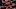 Chicago Bulls, Justin Holiday Chicago Bulls, Justin Holiday