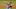 DraftKings DraftKings