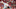 St. Louis Cardinals St. Louis Cardinals