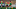 Leicester City Leicester City
