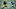 Michigan Football: Blake Corum Michigan Football: Blake Corum
