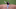 DraftKings DraftKings