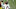 Louisville football Louisville football