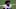 Dallas Cowboys Dallas Cowboys