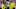FREIBURG IM BREISGAU, GERMANY – SEPTEMBER 09: Gonzalo Castro of Dortmund speak with Sokratis of Dortmund diskutieren during the Bundesliga match between Sport-Club Freiburg and Borussia Dortmund at Schwarzwald-Stadion on September 9, 2017 in Freiburg im Breisgau, Germany. (Photo by TF-Images/TF-Images via Getty Images) during the Bundesliga match between Sport-Club Freiburg and Borussia Dortmund at Schwarzwald-Stadion on September 9, 2017 in Freiburg im Breisgau, Germany. (Photo by TF-Images/TF-Images via Getty Images) FREIBURG IM BREISGAU, GERMANY – SEPTEMBER 09: Gonzalo Castro of Dortmund speak with Sokratis of Dortmund diskutieren during the Bundesliga match between Sport-Club Freiburg and Borussia Dortmund at Schwarzwald-Stadion on September 9, 2017 in Freiburg im Breisgau, Germany. (Photo by TF-Images/TF-Images via Getty Images) during the Bundesliga match between Sport-Club Freiburg and Borussia Dortmund at Schwarzwald-Stadion on September 9, 2017 in Freiburg im Breisgau, Germany. (Photo by TF-Images/TF-Images via Getty Images)