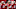 49ers Hoyer 49ers Hoyer