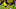 Borussia Dortmund right-back Felix Passlack Borussia Dortmund right-back Felix Passlack