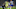 Arsenal, Auba Arsenal, Auba