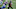 Dallas Cowboys Dallas Cowboys