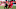 WASHINGTON, DC – SEPTEMBER 16: New York Red Bulls midfielder Tyler Adams (4) defends against D.C. United midfielder Ulises Segura (8) during a MLS match between D.C. United and the New York Red Bulls on September 16, 2018, at Audi Field, in Washington D.C. The game ended tied 3-3.(Photo by Tony Quinn/Icon Sportswire via Getty Images) WASHINGTON, DC – SEPTEMBER 16: New York Red Bulls midfielder Tyler Adams (4) defends against D.C. United midfielder Ulises Segura (8) during a MLS match between D.C. United and the New York Red Bulls on September 16, 2018, at Audi Field, in Washington D.C. The game ended tied 3-3.(Photo by Tony Quinn/Icon Sportswire via Getty Images)