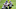 Green Bay Packers Green Bay Packers