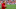 SEC football - Nick Saban SEC football - Nick Saban
