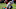 Chicago Bears, Daniel Jones Chicago Bears, Daniel Jones