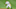DJ LeMahieu, New York Yankees