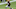 FanDuel NFL picks Week 8 FanDuel NFL picks Week 8