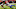 Houston Texans WR Houston Texans WR
