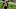 Chris Godwin, Tampa Bay Buccaneers, (Photo by Mike Ehrmann/Getty Images) Chris Godwin, Tampa Bay Buccaneers, (Photo by Mike Ehrmann/Getty Images)