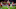 Stuart Armstrong of Southampton (Photo by Robin Jones/Getty Images) Stuart Armstrong of Southampton (Photo by Robin Jones/Getty Images)