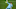 Thibaut Courtois