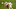 Real Madrid, Dani Carvajal Real Madrid, Dani Carvajal