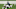 New England Patriots New England Patriots