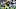 Aaron Jones, Green Bay Packers Aaron Jones, Green Bay Packers