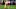 Buffalo Bills, Frank Clark