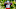 New England Patriots New England Patriots