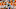Tennessee football Tennessee football