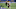 DETROIT, MICHIGAN – NOVEMBER 15: Terry McLaurin #17 of the Washington Football Team runs after a catch against the Detroit Lions at Ford Field on November 15, 2020 in Detroit, Michigan. (Photo by Gregory Shamus/Getty Images) DETROIT, MICHIGAN – NOVEMBER 15: Terry McLaurin #17 of the Washington Football Team runs after a catch against the Detroit Lions at Ford Field on November 15, 2020 in Detroit, Michigan. (Photo by Gregory Shamus/Getty Images)