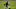 Chicago Bears, Darnell Mooney Chicago Bears, Darnell Mooney