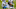 Chicago Bears, NFL Schedule Chicago Bears, NFL Schedule
