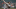 DraftKings DraftKings