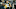 Jimmy Graham Green Bay Packers Jimmy Graham Green Bay Packers