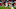 Cleveland Browns Cleveland Browns